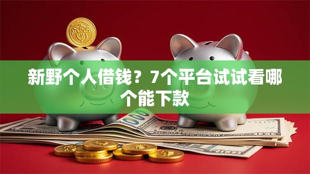 新野个人借钱?7个平台试试看哪个能下款 新野个人借钱?7个平台试试看哪个能下款