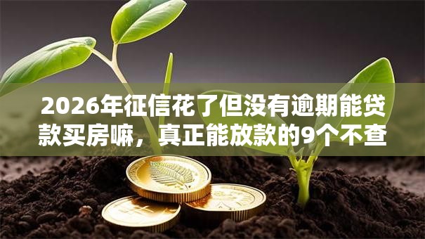2026年征信花了但没有逾期能贷款买房嘛,真正能放款的9个不查流水的小额度贷款平台推荐 2026年征信花了但没有逾期能贷款买房嘛,真正能放款的9个不查流水的小额度贷款平台推荐