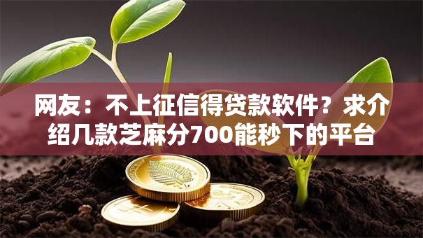 网友：不上征信得贷款软件？求介绍几款芝麻分700能秒下的平台