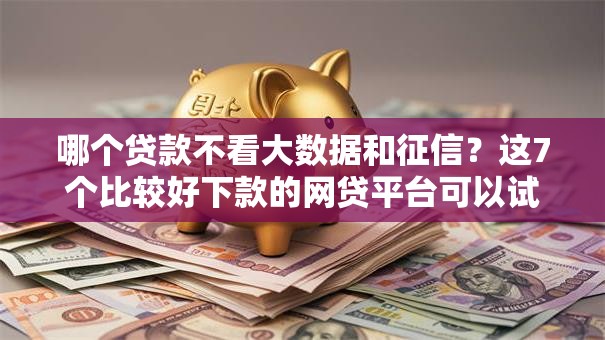 哪个贷款不看大数据和征信?这7个比较好下款的网贷平台可以试试 哪个贷款不看大数据和征信?这7个比较好下款的网贷平台可以试试
