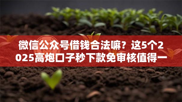 微信公众号借钱合法嘛？这5个2025高炮口子秒下款免审核值得一试