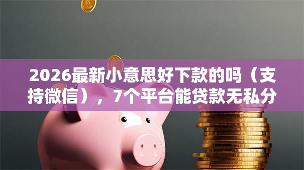 2026最新小意思好下款的吗（支持微信），7个平台能贷款无私分享