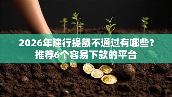 2026年建行提额不通过有哪些?推荐6个容易下款的平台 2026年建行提额不通过有哪些?推荐6个容易下款的平台