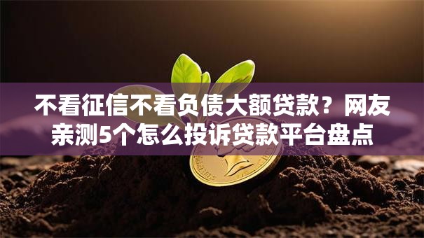 不看征信不看负债大额贷款？网友亲测5个怎么投诉贷款平台盘点