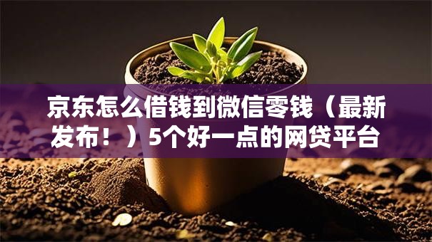 京东怎么借钱到微信零钱（最新发布！）5个好一点的网贷平台