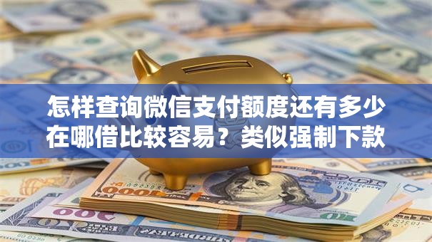 怎样查询微信支付额度还有多少在哪借比较容易?类似强制下款的6个口子参考 怎样查询微信支付额度还有多少在哪借比较容易?类似强制下款的6个口子参考