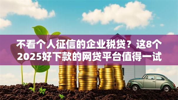 不看个人征信的企业税贷?这8个2025好下款的网贷平台值得一试 不看个人征信的企业税贷?这8个2025好下款的网贷平台值得一试