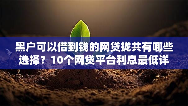 黑户可以借到钱的网贷拢共有哪些选择?10个网贷平台利息最低详解 黑户可以借到钱的网贷拢共有哪些选择?10个网贷平台利息最低详解