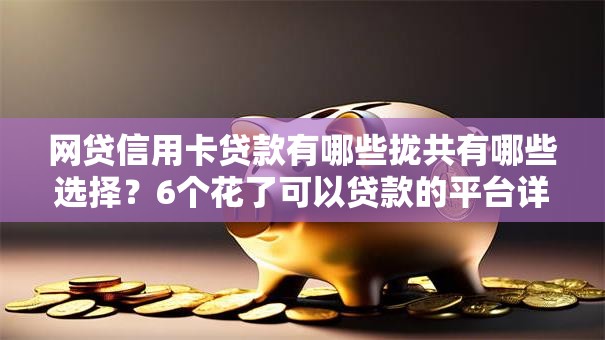 网贷信用卡贷款有哪些拢共有哪些选择?6个花了可以贷款的平台详解 网贷信用卡贷款有哪些拢共有哪些选择?6个花了可以贷款的平台详解