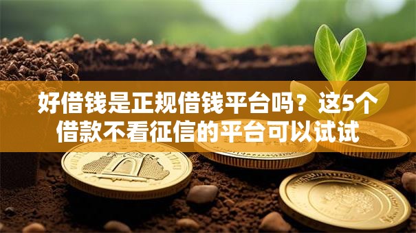 好借钱是正规借钱平台吗?这5个借款不看征信的平台可以试试 好借钱是正规借钱平台吗?这5个借款不看征信的平台可以试试
