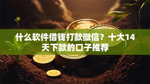 什么软件借钱打款微信?十大14天下款的口子推荐 什么软件借钱打款微信?十大14天下款的口子推荐