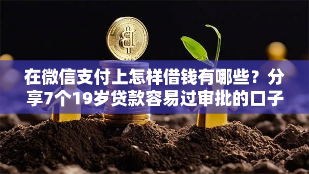 在微信支付上怎样借钱有哪些?分享7个19岁贷款容易过审批的口子 在微信支付上怎样借钱有哪些?分享7个19岁贷款容易过审批的口子