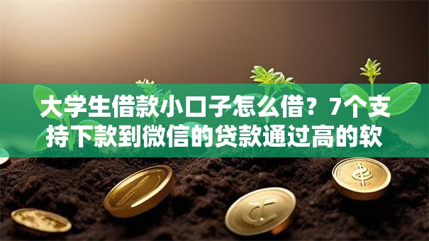 大学生借款小口子怎么借?7个支持下款到微信的贷款通过高的软件 大学生借款小口子怎么借?7个支持下款到微信的贷款通过高的软件