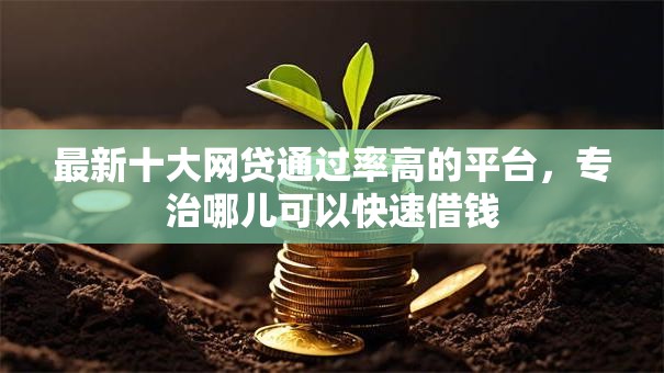 最新十大网贷通过率高的平台,专治哪儿可以快速借钱 最新十大网贷通过率高的平台,专治哪儿可以快速借钱