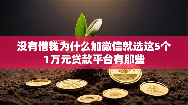 没有借钱为什么加微信就选这5个1万元贷款平台有那些 没有借钱为什么加微信就选这5个1万元贷款平台有那些