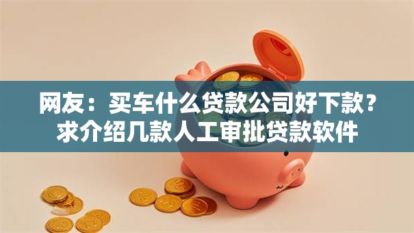 网友:买车什么贷款公司好下款?求介绍几款人工审批贷款软件 网友:买车什么贷款公司好下款?求介绍几款人工审批贷款软件