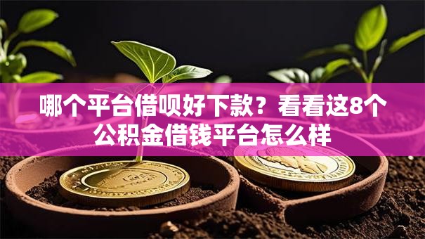 哪个平台借呗好下款?看看这8个公积金借钱平台怎么样 哪个平台借呗好下款?看看这8个公积金借钱平台怎么样