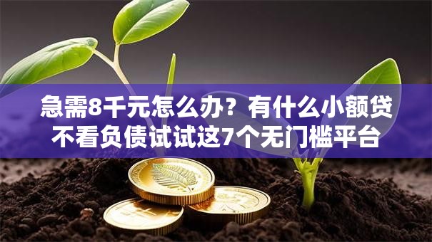 急需8千元怎么办?有什么小额贷不看负债试试这7个无门槛平台 急需8千元怎么办?有什么小额贷不看负债试试这7个无门槛平台