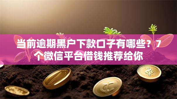 当前逾期黑户下款口子有哪些?7个微信平台借钱推荐给你 当前逾期黑户下款口子有哪些?7个微信平台借钱推荐给你