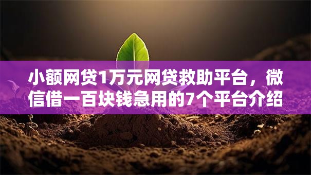 小额网贷1万元网贷救助平台，微信借一百块钱急用的7个平台介绍