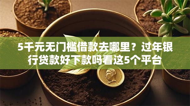 5千元无门槛借款去哪里？过年银行贷款好下款吗看这5个平台