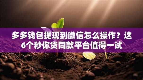 多多钱包提现到微信怎么操作？这6个秒你贷同款平台值得一试