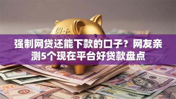 强制网贷还能下款的口子？网友亲测5个现在平台好贷款盘点