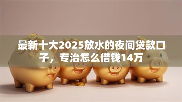 最新十大2025放水的夜间贷款口子，专治怎么借钱14万