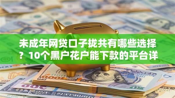 未成年网贷口子拢共有哪些选择？10个黑户花户能下款的平台详解