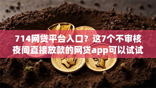 714网贷平台入口？这7个不审核夜间直接放款的网贷app可以试试