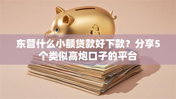 东营什么小额贷款好下款？分享5个类似高炮口子的平台