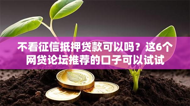 不看征信抵押贷款可以吗？这6个网贷论坛推荐的口子可以试试