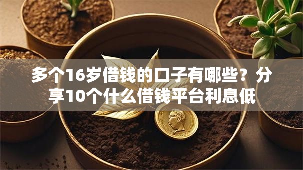 多个16岁借钱的口子有哪些？分享10个什么借钱平台利息低