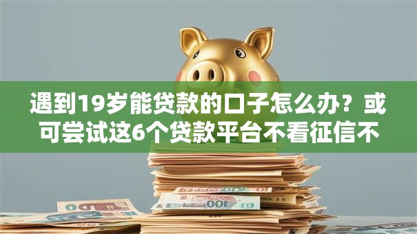 遇到19岁能贷款的口子怎么办？或可尝试这6个贷款平台不看征信不看逾期