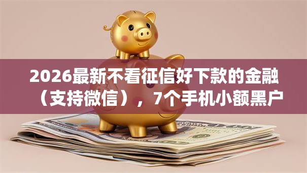 2026最新不看征信好下款的金融（支持微信），7个手机小额黑户快速贷款app无私分享