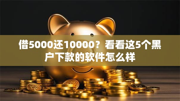 借5000还10000?看看这5个黑户下款的软件怎么样 借5000还10000?看看这5个黑户下款的软件怎么样