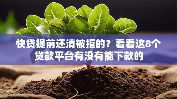 快贷提前还清被拒的?看看这8个贷款平台有没有能下款的 快贷提前还清被拒的?看看这8个贷款平台有没有能下款的