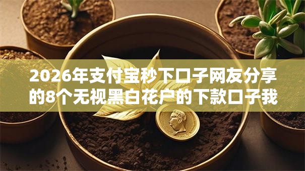 2026年支付宝秒下口子网友分享的8个无视黑白花户的下款口子我觉得不错! 2026年支付宝秒下口子网友分享的8个无视黑白花户的下款口子我觉得不错!