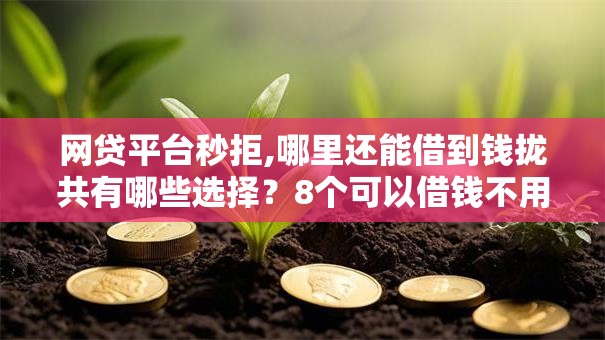 网贷平台秒拒,哪里还能借到钱拢共有哪些选择?8个可以借钱不用审核的软件详解 网贷平台秒拒,哪里还能借到钱拢共有哪些选择?8个可以借钱不用审核的软件详解