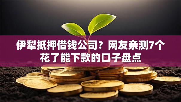 伊犁抵押借钱公司?网友亲测7个花了能下款的口子盘点 伊犁抵押借钱公司?网友亲测7个花了能下款的口子盘点