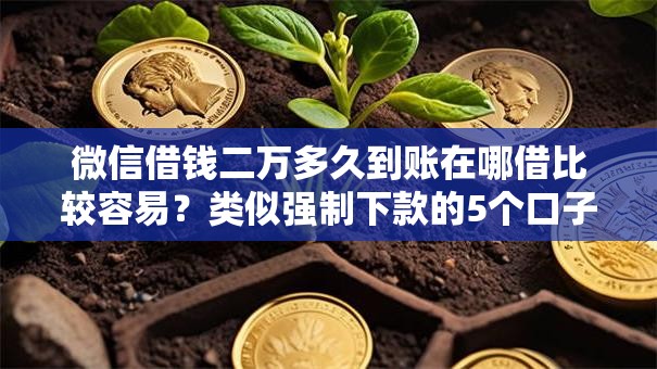 微信借钱二万多久到账在哪借比较容易?类似强制下款的5个口子参考 微信借钱二万多久到账在哪借比较容易?类似强制下款的5个口子参考