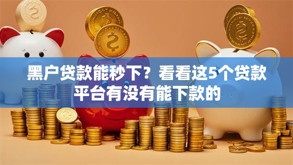 黑户贷款能秒下?看看这5个贷款平台有没有能下款的 黑户贷款能秒下?看看这5个贷款平台有没有能下款的