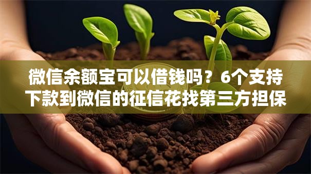 微信余额宝可以借钱吗?6个支持下款到微信的征信花找第三方担保贷款平台 微信余额宝可以借钱吗?6个支持下款到微信的征信花找第三方担保贷款平台