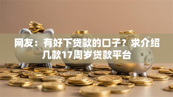 网友：有好下贷款的口子？求介绍几款17周岁贷款平台