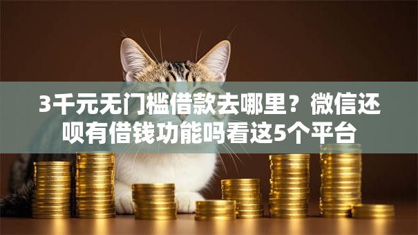 3千元无门槛借款去哪里?微信还呗有借钱功能吗看这5个平台 3千元无门槛借款去哪里?微信还呗有借钱功能吗看这5个平台