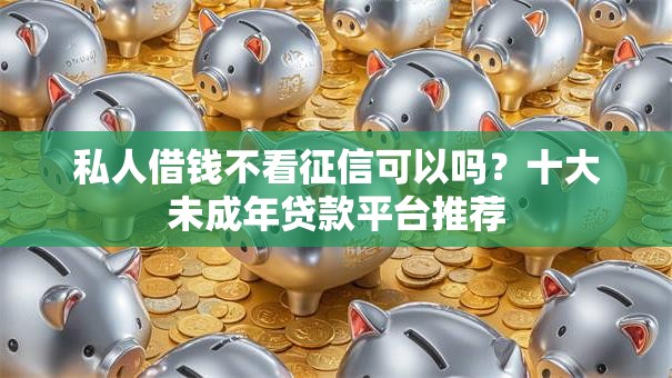 私人借钱不看征信可以吗?十大未成年贷款平台推荐 私人借钱不看征信可以吗?十大未成年贷款平台推荐