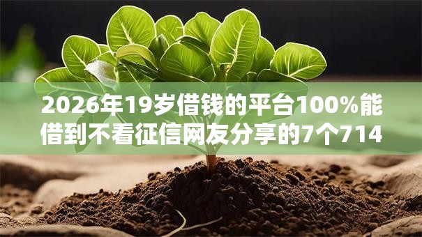2026年19岁借钱的平台100%能借到不看征信网友分享的7个714网贷平台大全我觉得不错! 2026年19岁借钱的平台100%能借到不看征信网友分享的7个714网贷平台大全我觉得不错!