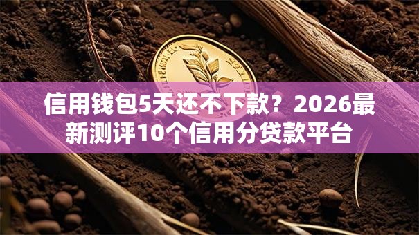 信用钱包5天还不下款?2026最新测评10个信用分贷款平台 信用钱包5天还不下款?2026最新测评10个信用分贷款平台