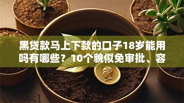 黑贷款马上下款的口子18岁能用吗有哪些?10个貌似免审批、容易下款的小额贷款平台合集 黑贷款马上下款的口子18岁能用吗有哪些?10个貌似免审批、容易下款的小额贷款平台合集