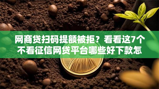 网商贷扫码提额被拒?看看这7个不看征信网贷平台哪些好下款怎么样 网商贷扫码提额被拒?看看这7个不看征信网贷平台哪些好下款怎么样